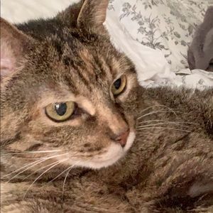 Meet your Posher, Molly